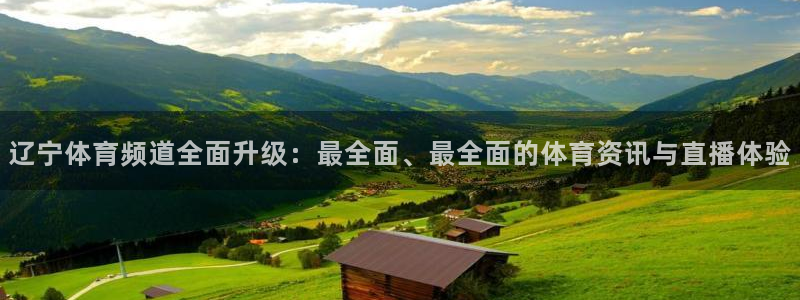 辽宁体育频道全面升级：最全面、最全面的体育资讯与直播体验