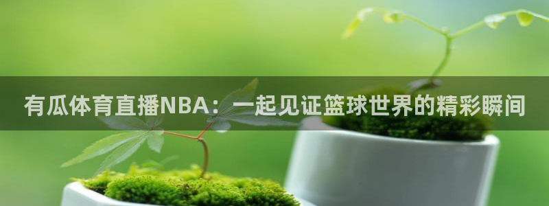 有瓜体育直播NBA：一起见证篮球世界的精彩瞬间