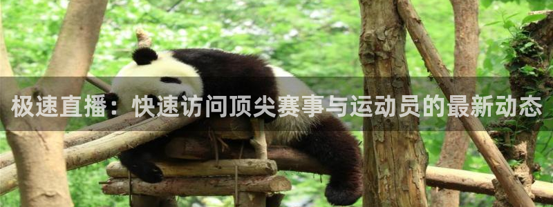 极速直播：快速访问顶尖赛事与运动员的最新动态