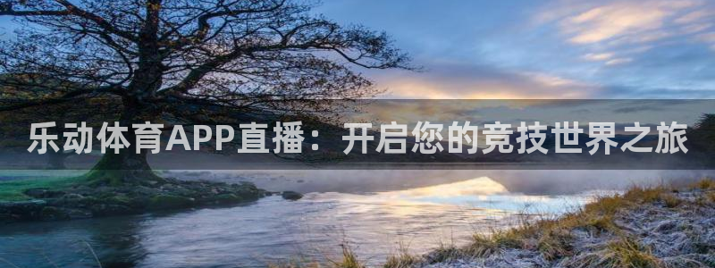 乐动体育APP直播：开启您的竞技世界之旅