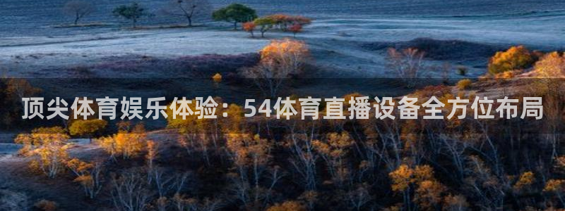 顶尖体育娱乐体验：54体育直播设备全方位布局