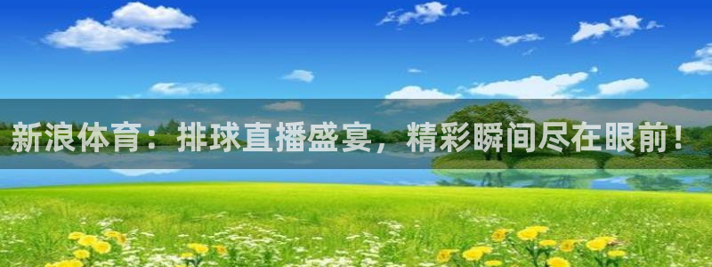 新浪体育：排球直播盛宴，精彩瞬间尽在眼前！