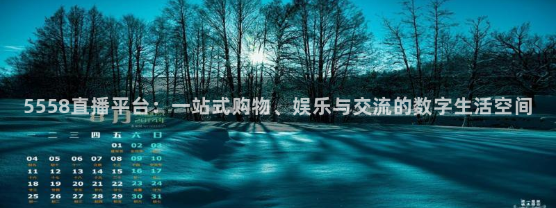 5558直播平台：一站式购物、娱乐与交流的数字生活空间